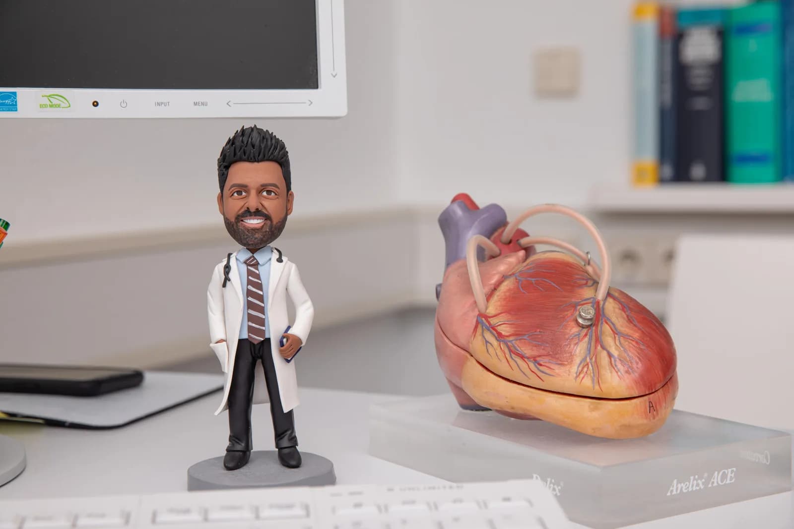 Anatomisches Herzmodell auf einem Schreibtisch